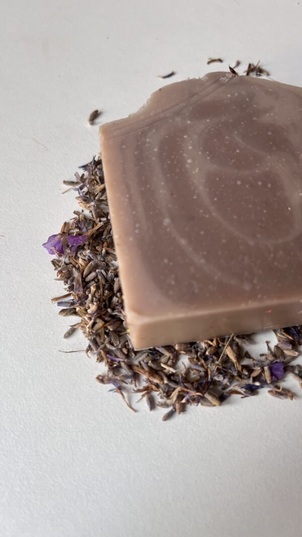 Fir the love of Lavender - Image 2