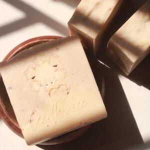 Goat milk - coconut vanilla Soap